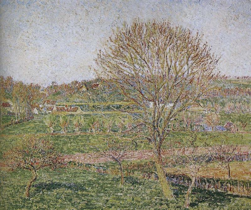 Camille Pissarro Peach Germany oil painting art